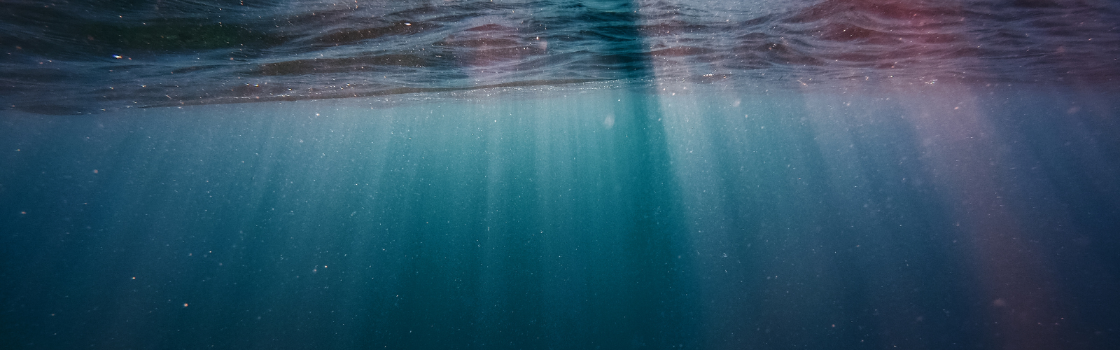 Untitled design (71)